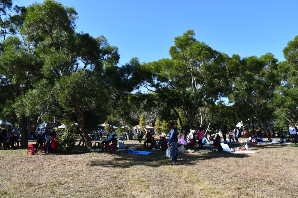 彰市香山野餐享聽音樂、嚐美食、品咖啡-600人享親子之樂