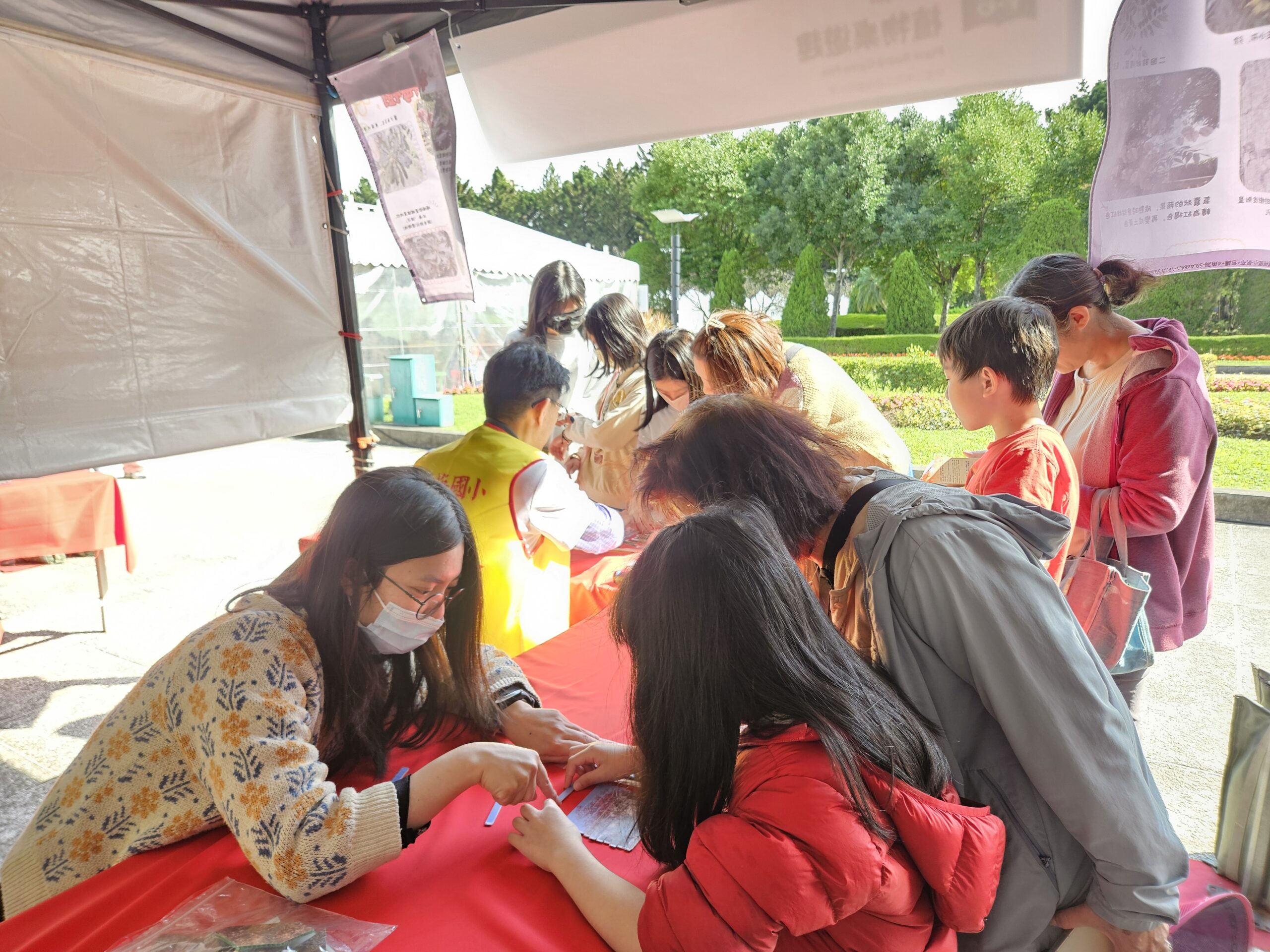 桃園楊梅國小把「植物」變桌遊!亮相台灣閱讀節展現生態教育成果 685757 0 scaled