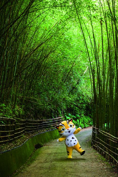 走進苗栗耶誕城 來場光、雪與音樂交織的浪漫旅程
