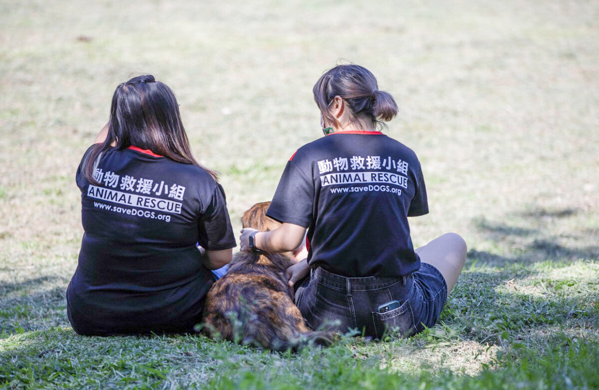 ▲動物保護團體希望民眾觀賞歌仔戲演出中體悟「尊重生命、善待動物」的精神。(圖/台灣動物緊急救援小組提供)