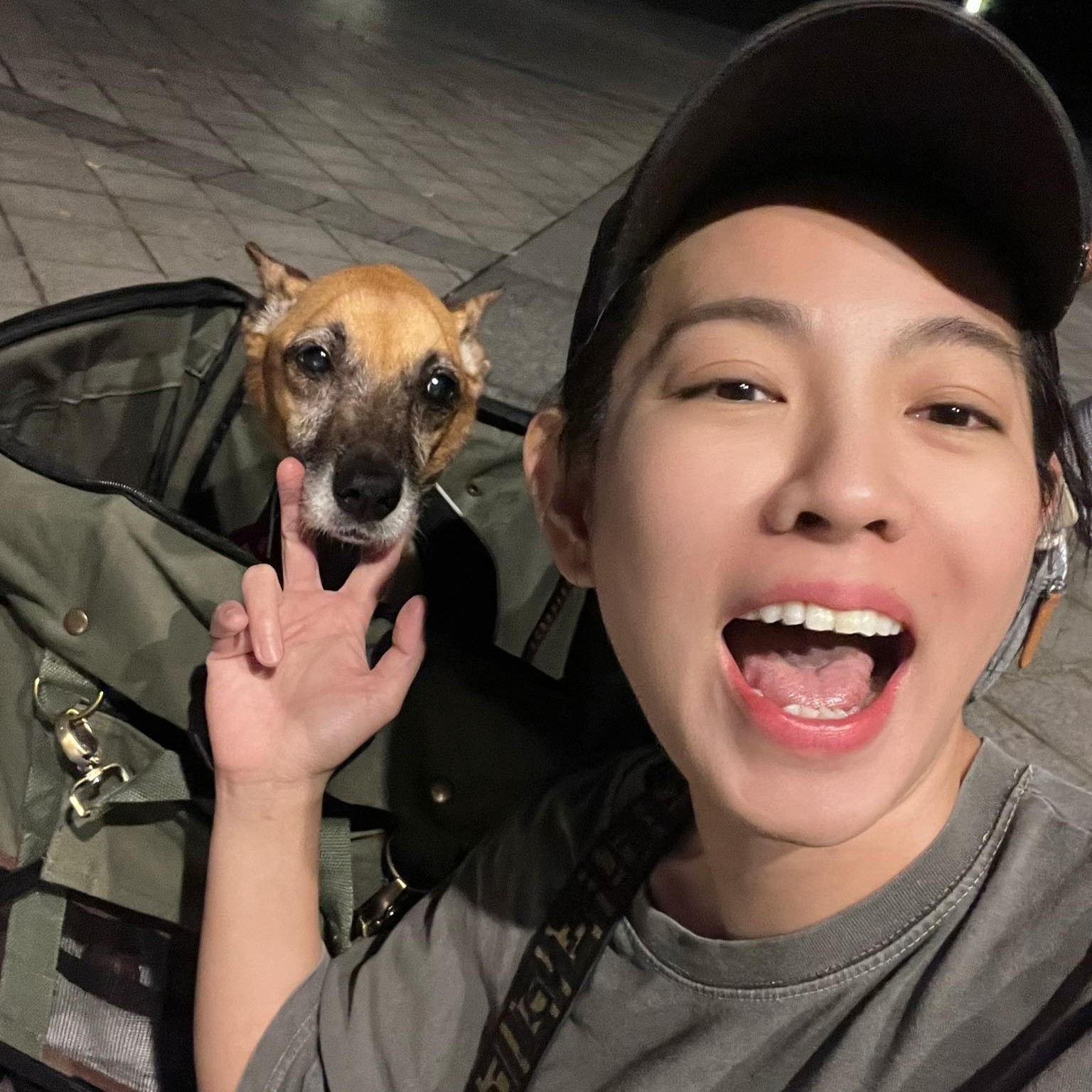 人人犬舍虐待黑幕！米可白喊話苗縣長：1條命只值1萬5？