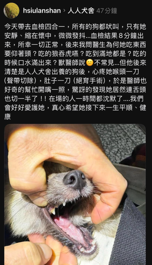 米可白分享人人犬舍內犬隻的狀況。（圖／翻攝米可白臉書）