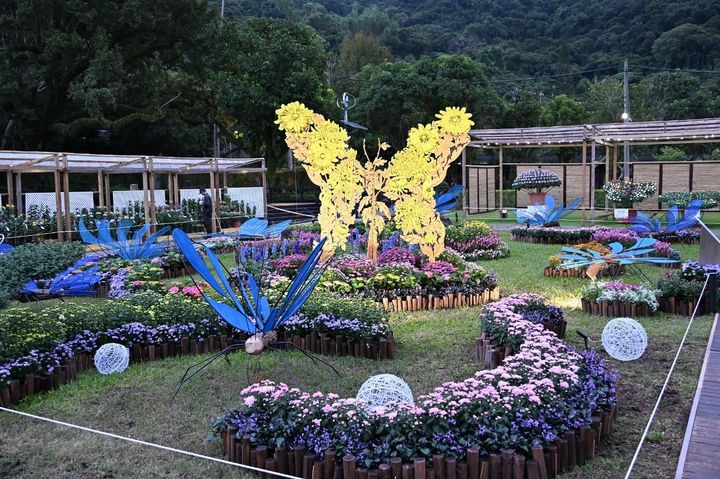 將大立菊的栽培技法融入「蛻菊」裝置藝術。 圖:台北市政府工務局公園路燈工程管理處/提供