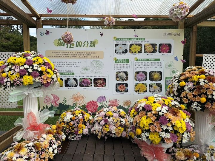 台北士林「藝菊圓夢」賞菊、 藝文、美食指南