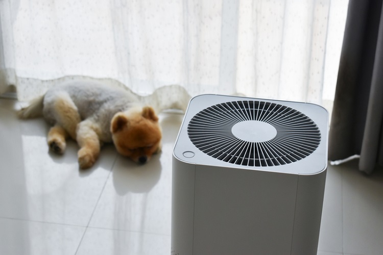 除濕機自燃燒成黑炭！消防局公布「12大品牌54型號」危險名單  快檢查你家