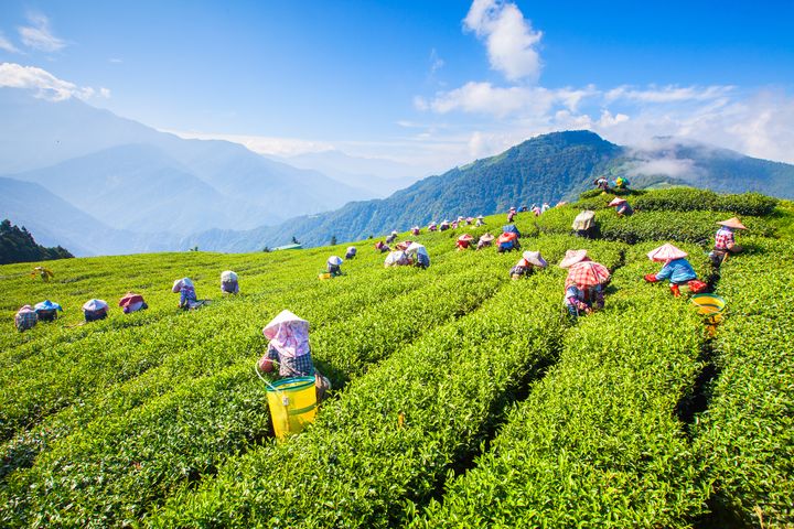 第13屆國際金旅獎揭曉 105條金旅行程脫穎而出 展現台灣旅遊多元魅力 