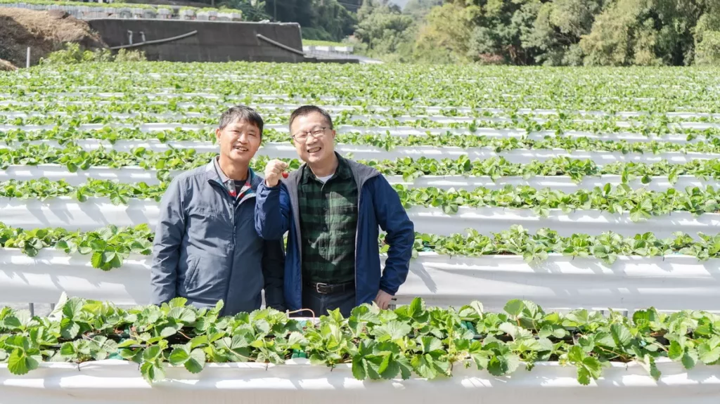 馬修嚴選長年與台灣在地友善種植的農友合作，推廣友善耕作與公平交易，以共好精神讓台灣的各地美味被消費者看見。（圖／品牌提供）