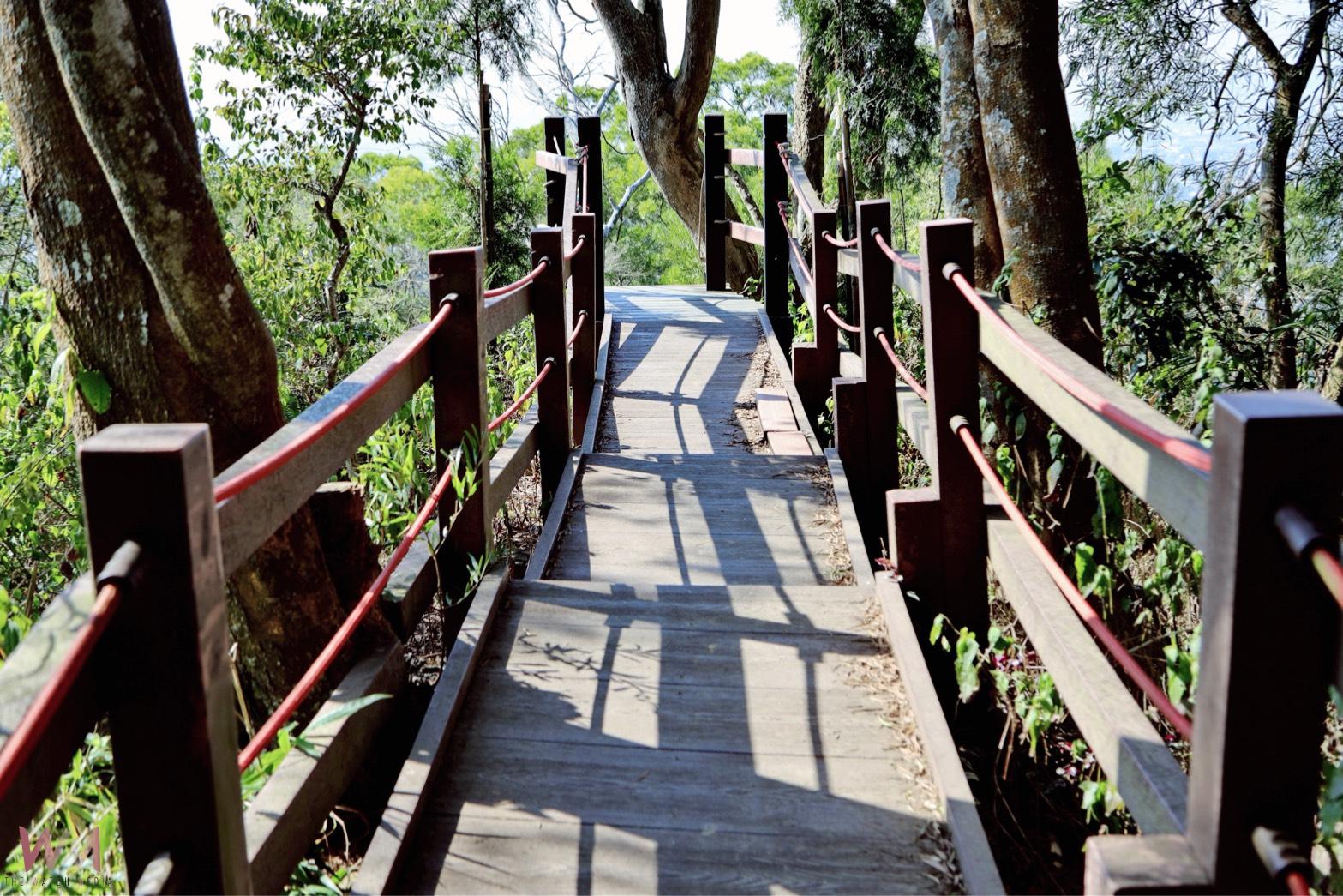 中市全力推動登山步道災害復建工程 觀旅局:部分步道實施封閉措施 - https://www.watchmedia01.com
