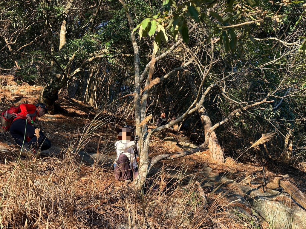 驚險!-69歲婦滑落步道下方30米邊坡 幸被樹卡住獲救