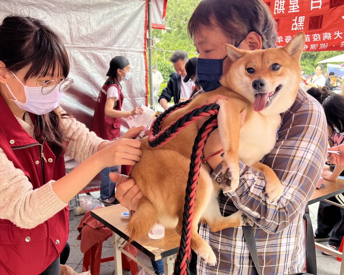 圖/飼主都應為毛寶貝建立固定的「家庭獸醫師」,並依指示定期進行健康檢查及疫苗補強。(新北市政府動物保護防疫處提供)