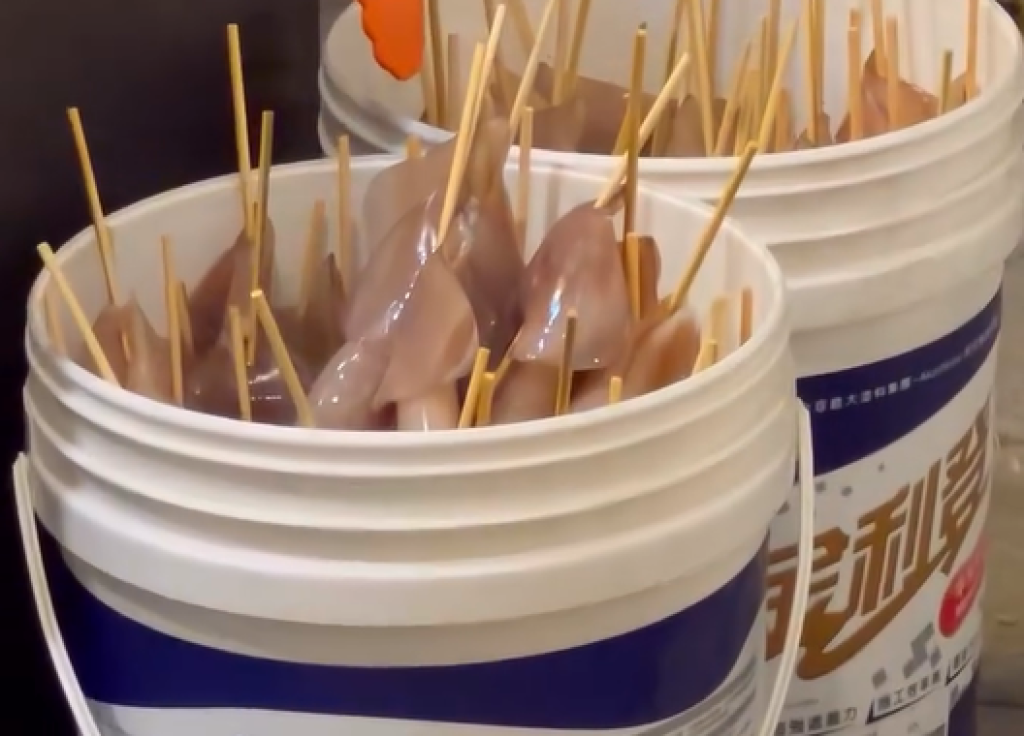影/高雄《下酒祭》攤販「水泥漆桶裝退冰小卷」!影片網路瘋傳 老闆出面回應了