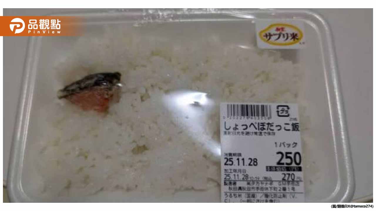 拇指大鮭魚配整盒白飯!日本極限便當瘋傳1500萬人看傻