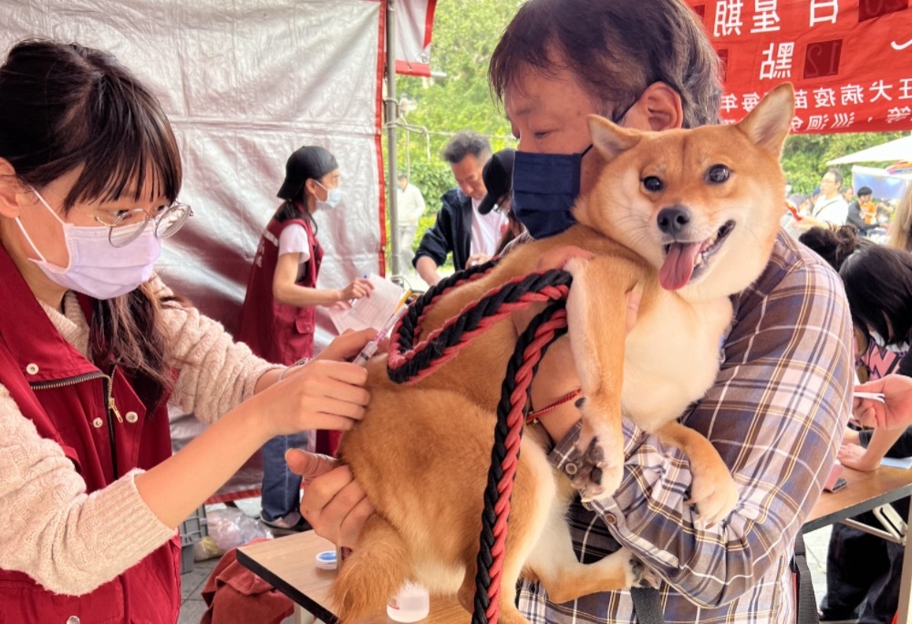 世界強化免疫日 新北動保處3招保護毛孩 207 248251215a10