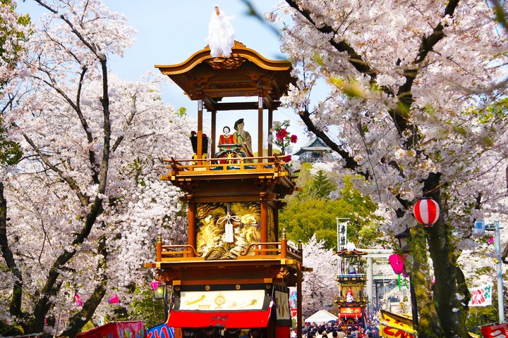 每年春天在櫻花相伴下,華麗的犬山祭慶典熱鬧登場,場面盛大。 圖:晴日旅遊/提供