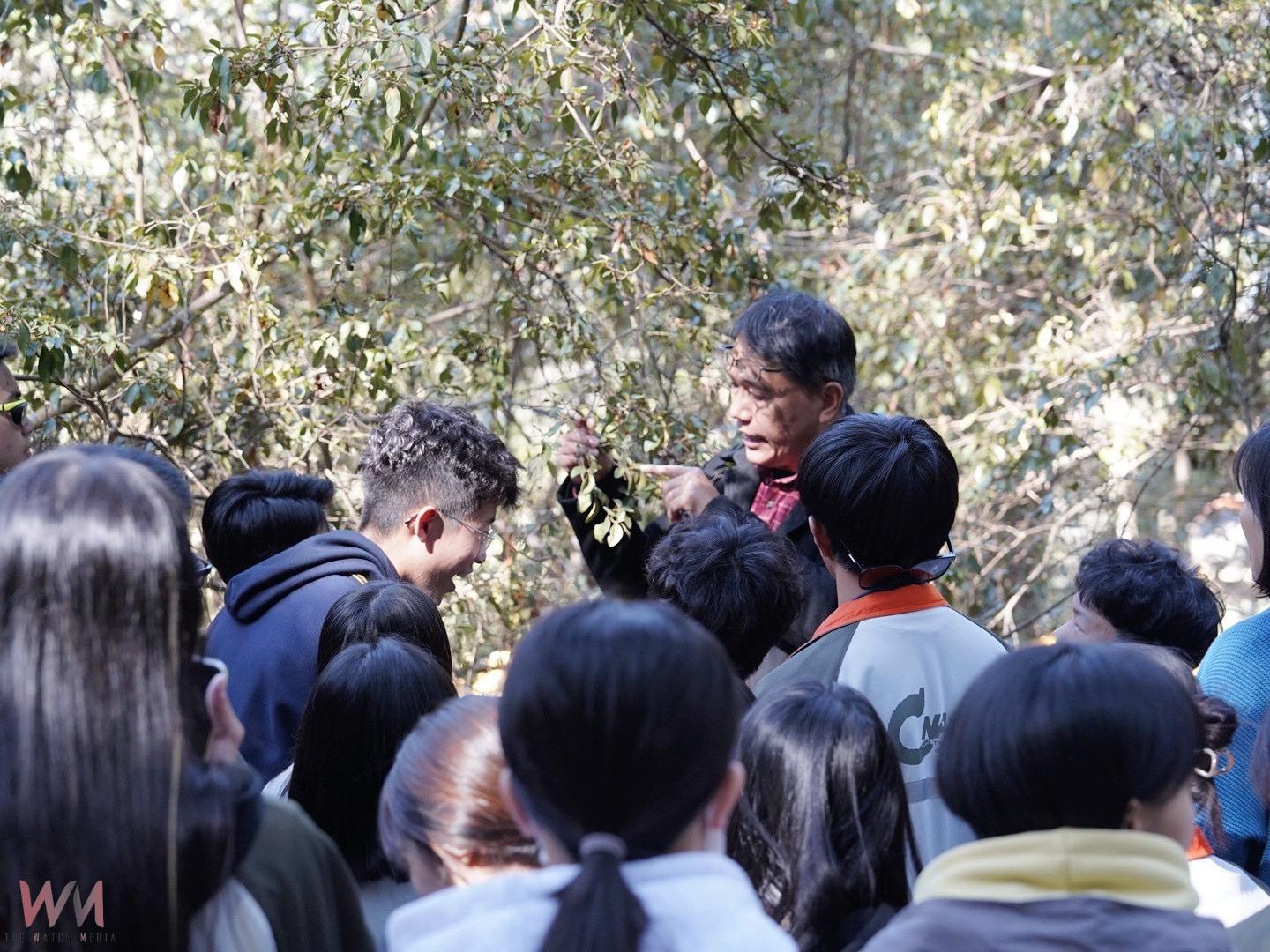 中興大學攜手杉林溪、嘉大 深度復育臺灣特有種「埔里杜鵑」 - https://www.watchmedia01.com