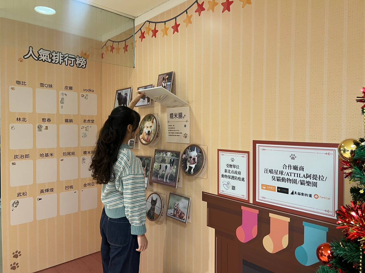 新光三越攜手新北動保處　耶誕公益展為毛寶貝找家