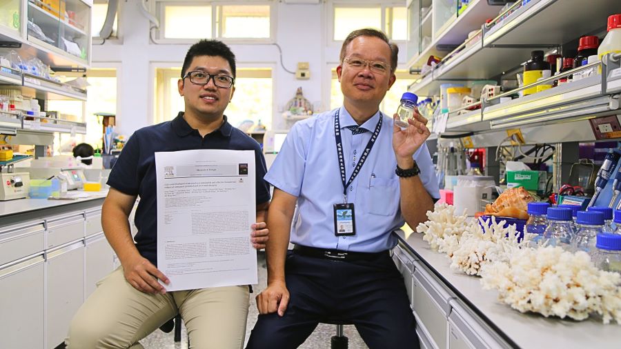 ▲中山大學海洋生物科技暨資源學系特聘教授溫志宏與生技醫藥研究所博士生張瓏,與鹿角珊瑚骨骼。