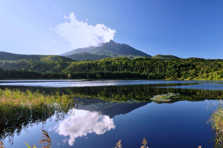太平洋旅行社招牌行程「北海道絕色利尻禮文.北緯45度跳島七日」榮獲「第13屆國際金旅獎」,更同時奪得「第8屆發現心日本獎」最優秀獎。 圖:太平洋旅行社/提供