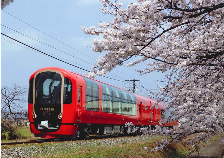 雙獎榮耀!太平洋旅行社榮獲金旅獎、發現心日本獎 累計獎項領先業界