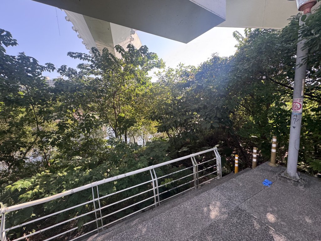 新店陽光公園驚傳命案!保全情侶倒臥橋下 男身亡女插管搶救中