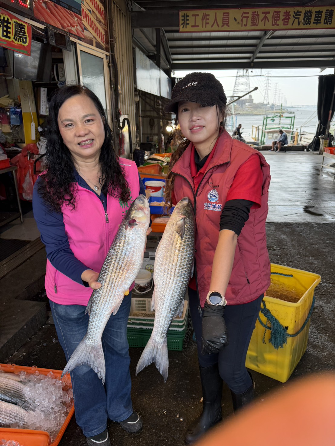(有影片)/線西塭仔港4000尾烏魚湧現 野生烏魚子搶翻天 - https://www.watchmedia01.com