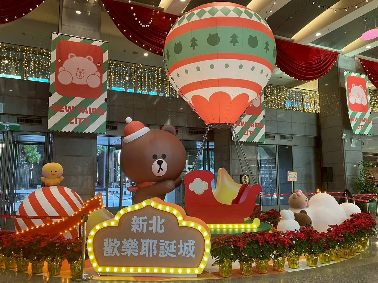 耶誕城花海超吸睛 新北景觀處分享聖誕紅養護小撇步