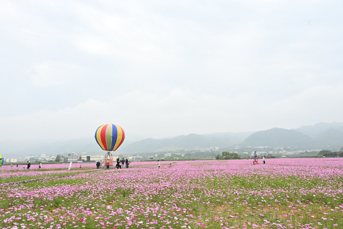 田中稻草藝術節現場。圖／記者鄧富珍翻攝