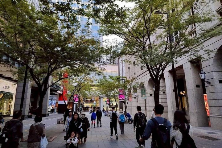 五彩燈飾高高掛 信義商圈林蔭濃濃節慶感 