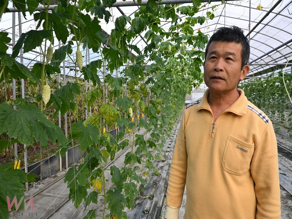 冬季蔬菜供應鏈新亮點 永靖青農邱余盛潔白苦瓜提升市場競爭力 - https://www.watchmedia01.com