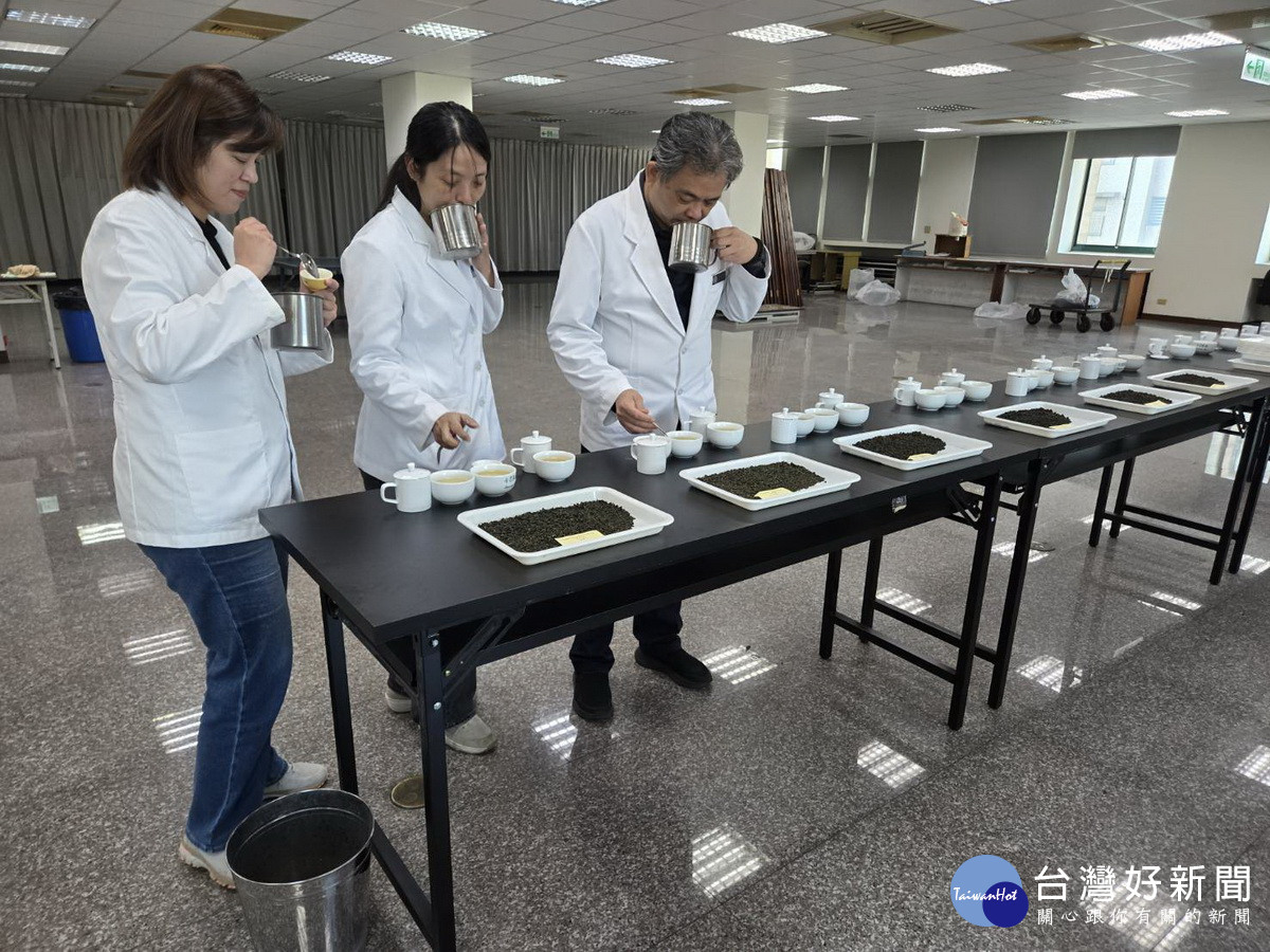 經由專業評審初複評選出冬季好茶。(名間農會提供)