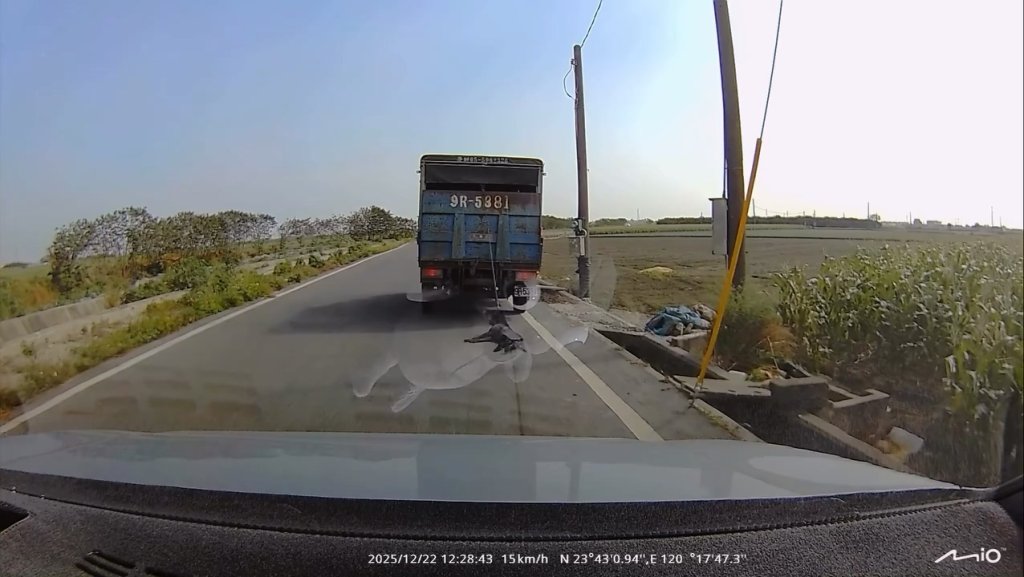 影/狗狗遭小貨車拖行!飼主疑沒注意繼續開 路過駕駛追上提醒已來不及