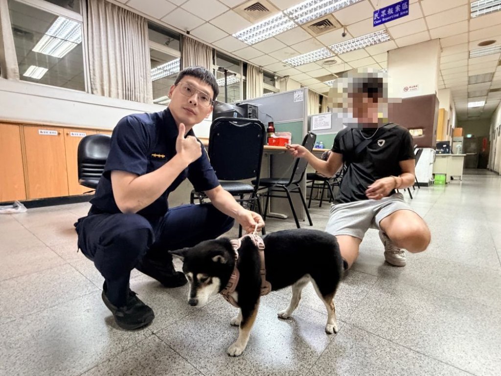 「連貓都會欺負」黑柴走失!牠被大學生尋獲 一見主人秒撲撒嬌