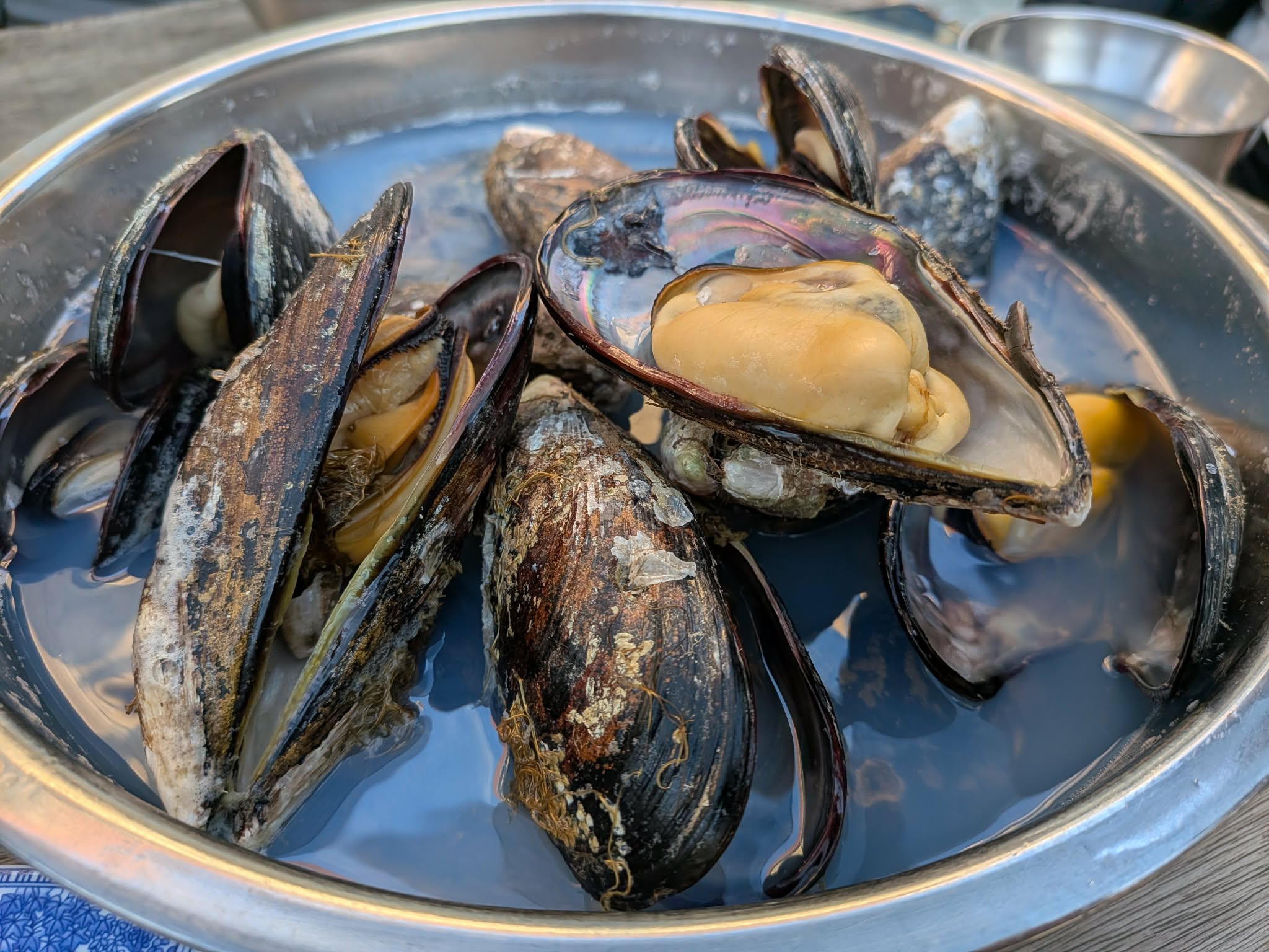 副刊/馬祖行(下)海邊伴著夕陽吃淡菜 5645465 4