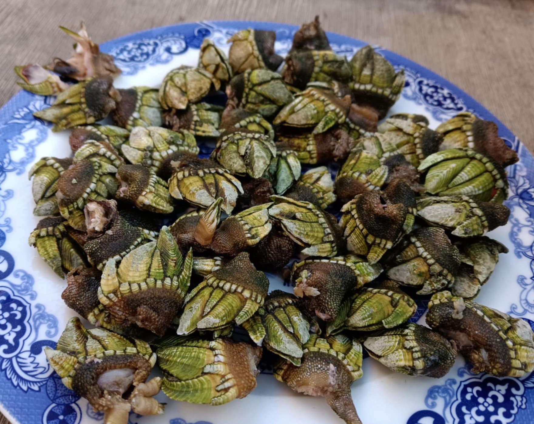 副刊/馬祖行(下)海邊伴著夕陽吃淡菜 5645465 3