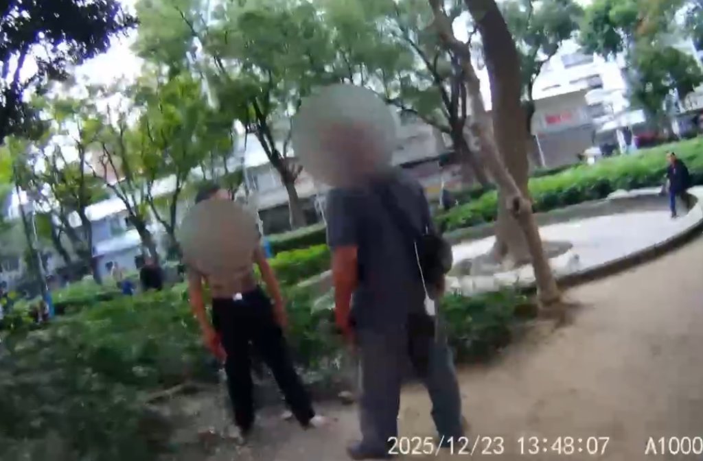 影/下棋吵到開打？長壽公園大叔互不相讓-手機變打人武器　