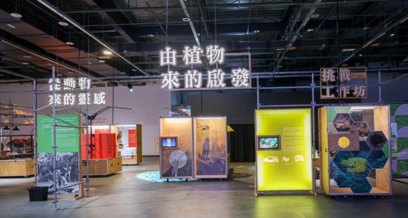 《仿生大解密》12/26開展!打造專屬桃園的自然科技新體驗