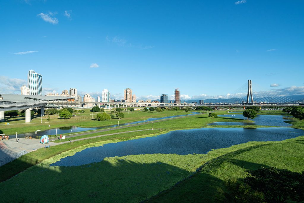 公園 新北大都會公園第二次 (2)