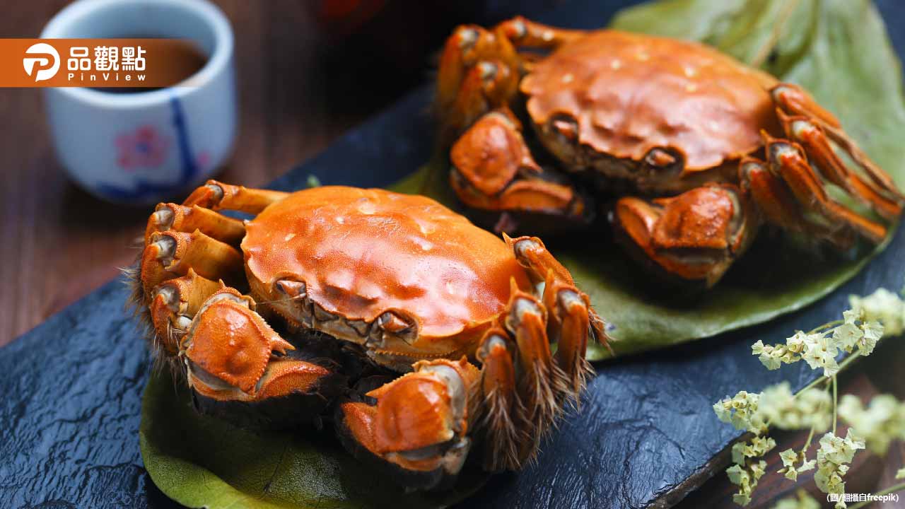 大閘蟹養10年血本無歸!養殖戶虧10年「100萬隻剩30萬」
