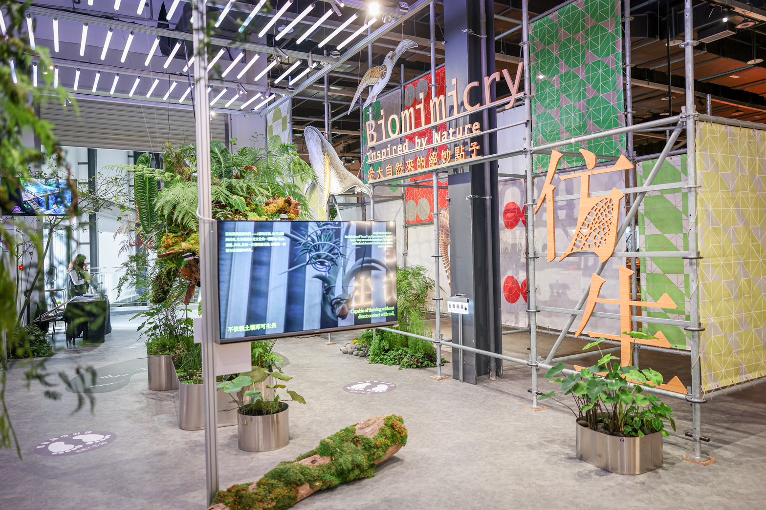 從大自然探索科學知識!仿生特展移師桃園12/26登場 56