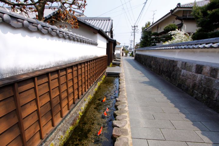 從熊本出發!體驗長崎・島原半島魅力路線