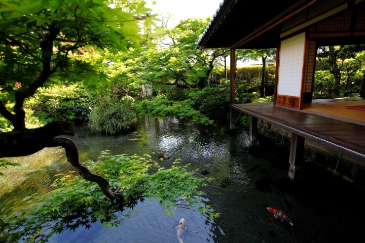 從熊本出發!體驗長崎・島原半島魅力路線