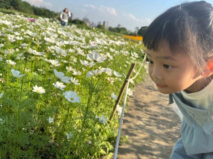 《圖說》凝視旺盛的生命力。〈高灘處提供〉