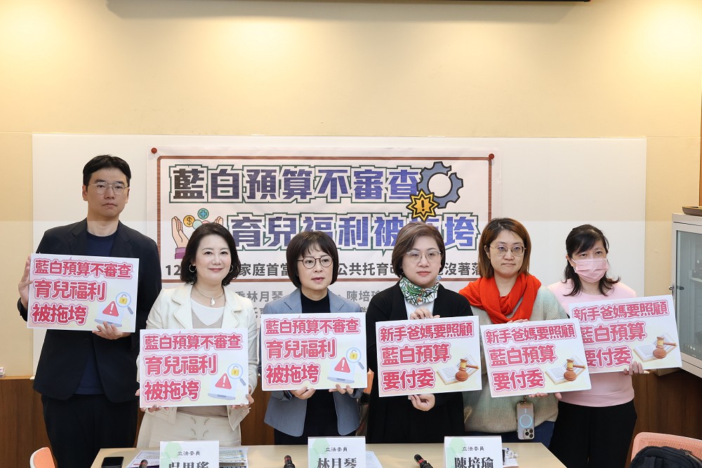 批藍白不審總預算　林月琴：民生福利先受損、生育補助加碼全落空 245