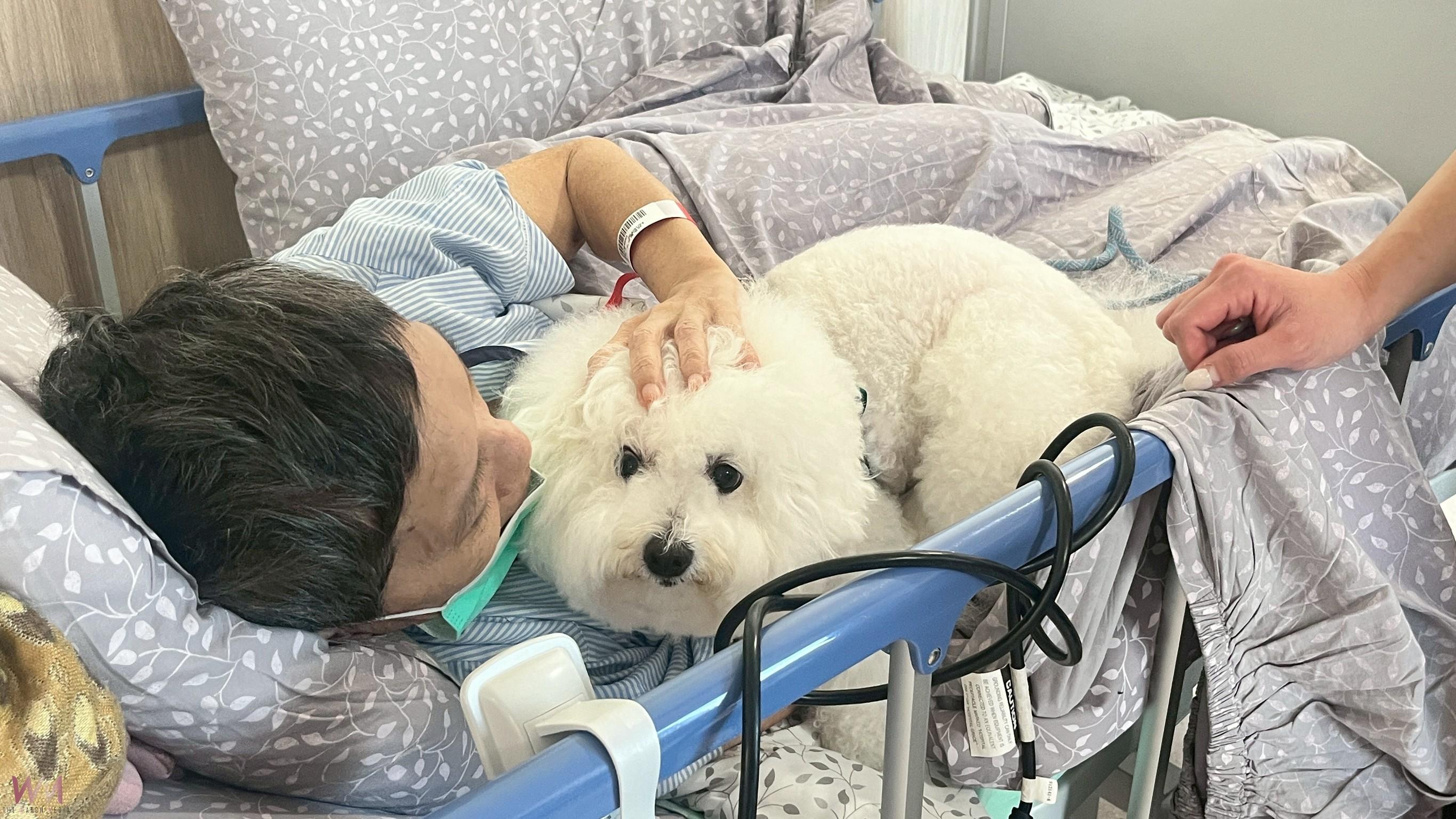 頌缽、音樂、狗醫師齊聚光田安寧病房 讓愛與笑聲取代病痛 - https://www.watchmedia01.com