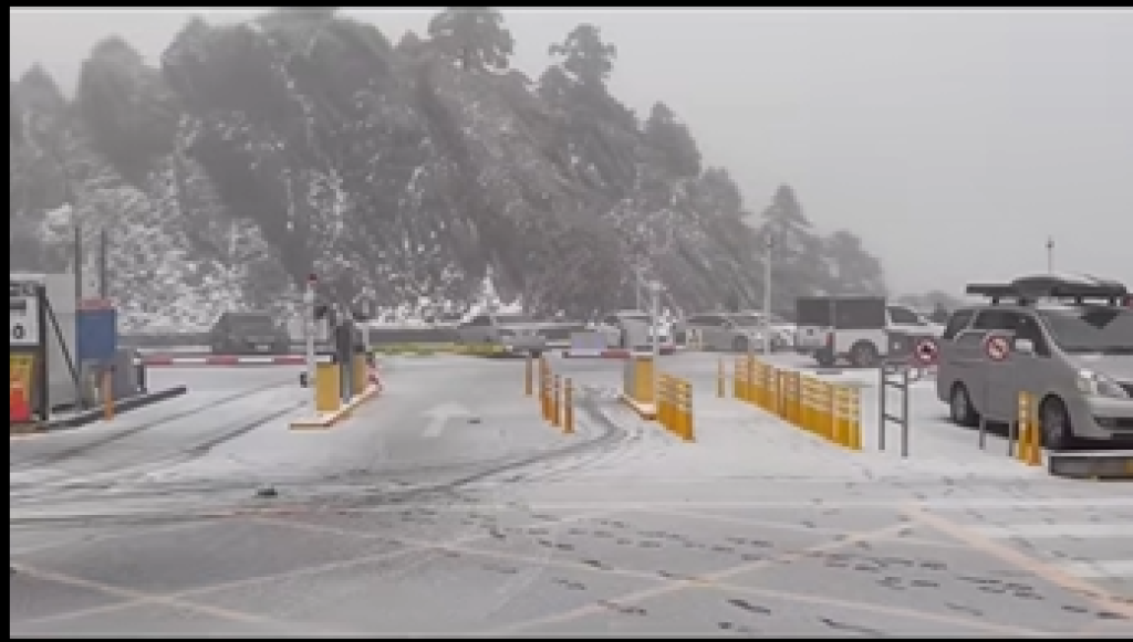 合歡山清晨降雪!武嶺停車場鋪滿白雪 追雪族堆出冰雪小鴨