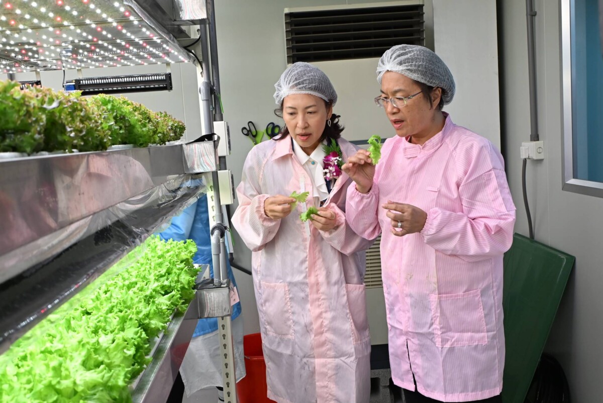 彰化首家全環控水耕蔬菜業者　蔡季科農有限公司正式開幕02