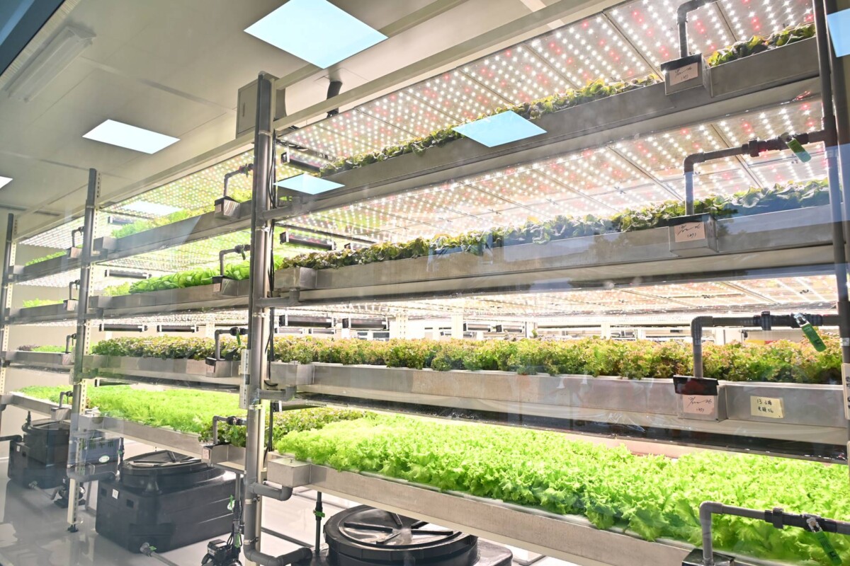 彰化首家全環控水耕蔬菜業者　蔡季科農有限公司正式開幕03