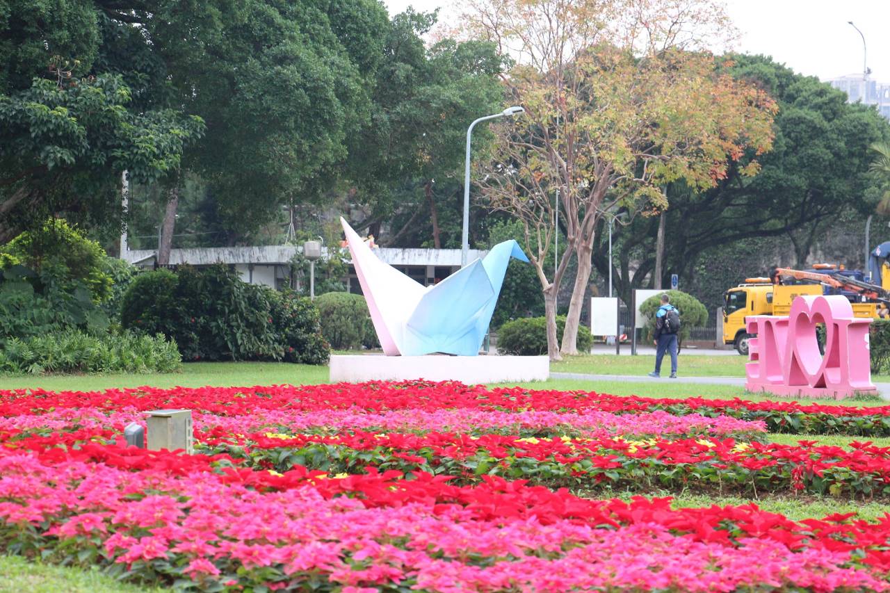 台北冬季公園限定景點 拍照×賞花×賞鳥一次滿足!