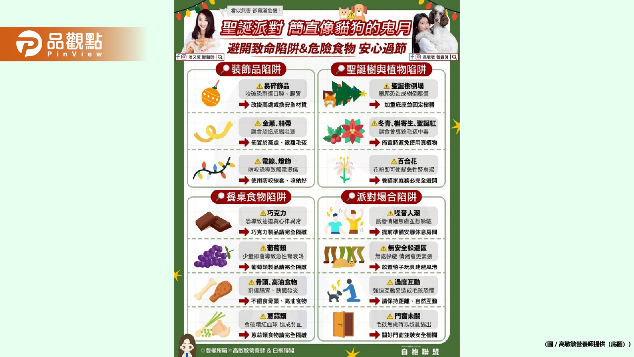 聖誕節看起來無害的裝飾與食物 對毛孩來說可能「危機四伏」