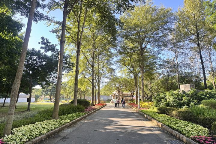 冬日應景!台北青年公園、大安森林公園花卉換新裝